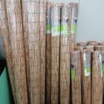 arelle in bamboo