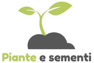 piante e semi