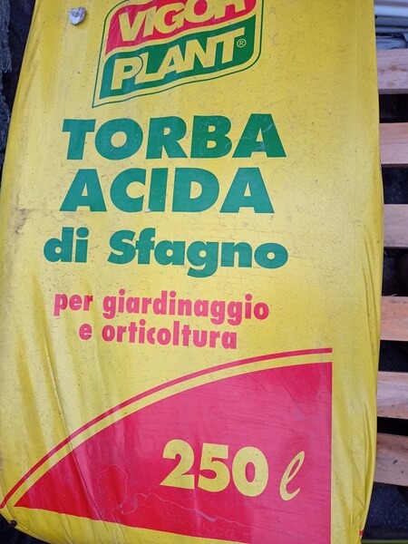 torba acida sfagno