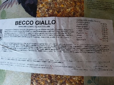 becco giallo